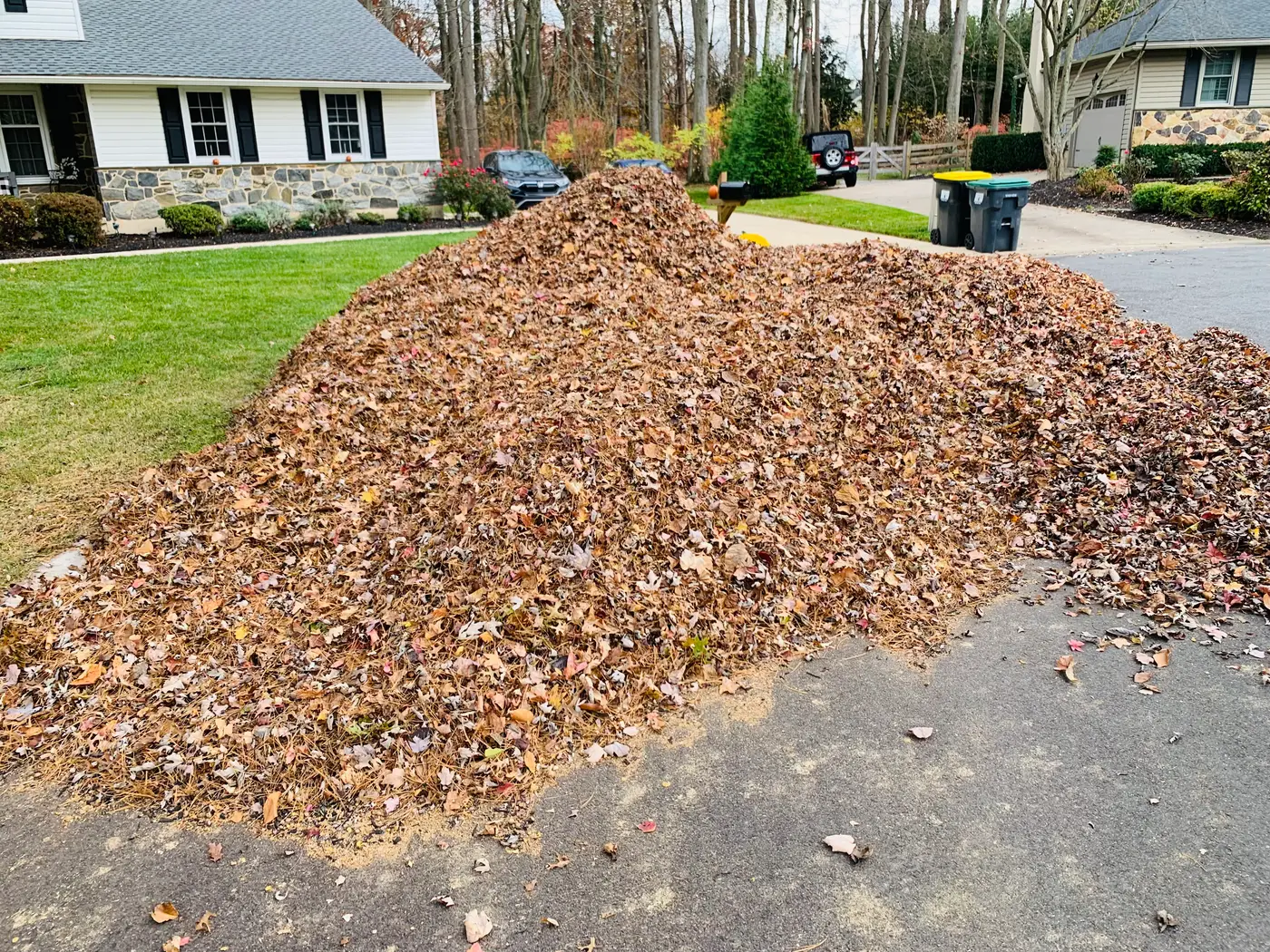 A large pile of leaves cleared from a New Castle County front yard by Delaware Lawn Crew.
