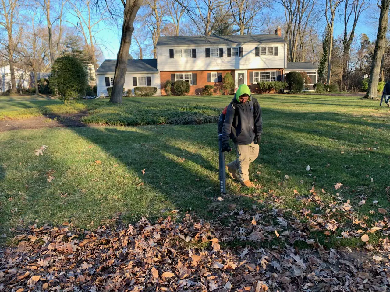 A Delaware Lawn Crew member blowing fall leaves off a lawn.