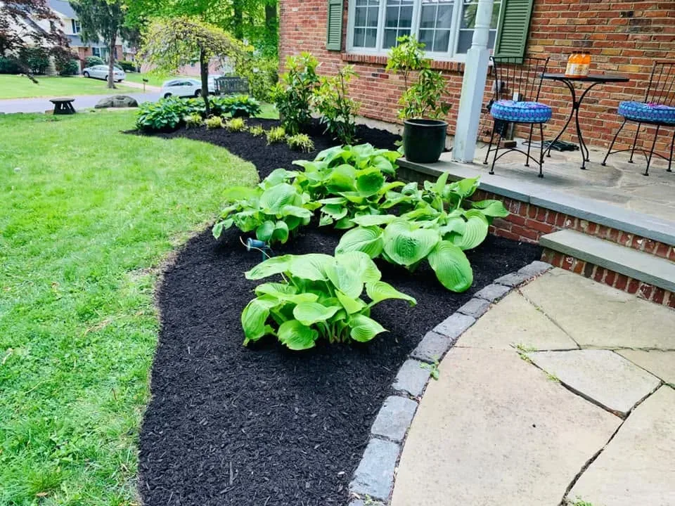 Hosta beds and fresh mulch along a brick walkway