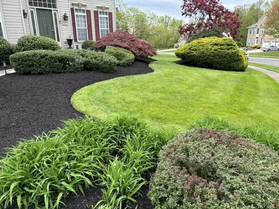 Landscaping