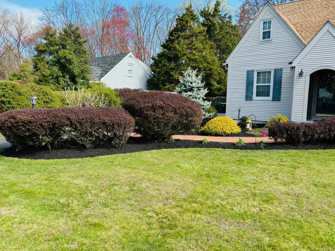 A thick, deep-green fertilized lawn in New Castle County.